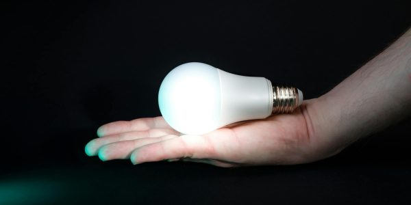 pexels-jakubzerdzicki-22896601